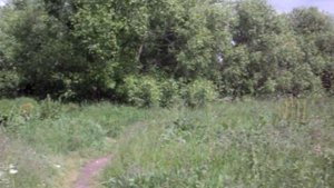 Строительство метро в Бульваре Дмитрия Донском