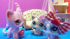 Lps НОВАЯ ЖИЗНЬ (серия 1)