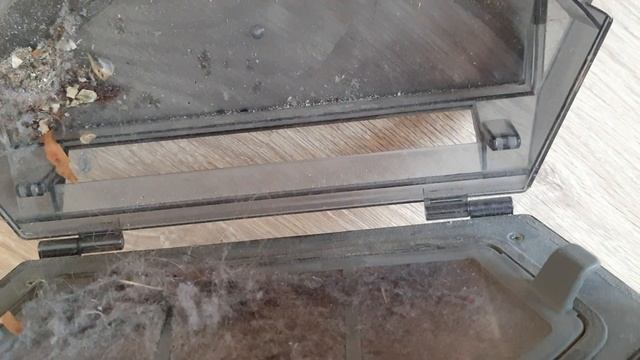 Идеальный подарок. Обзор робота пылесоса 360 Robot Vacuum Cleaner C50. смотреть онлайн