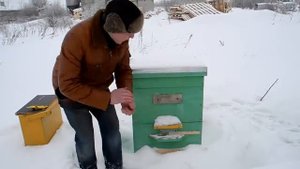 Канди для пчел  Приготовление канди  Подкормка пчел