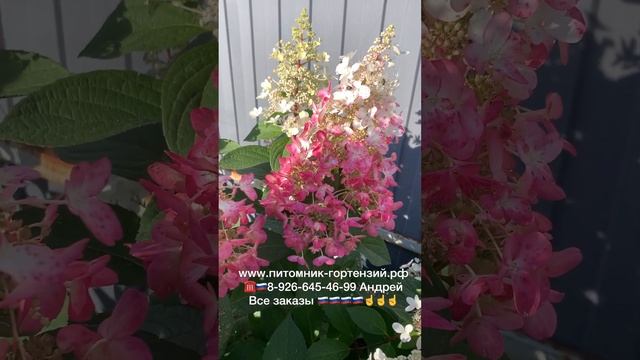 28 октября 2023 г. смотреть онлайн