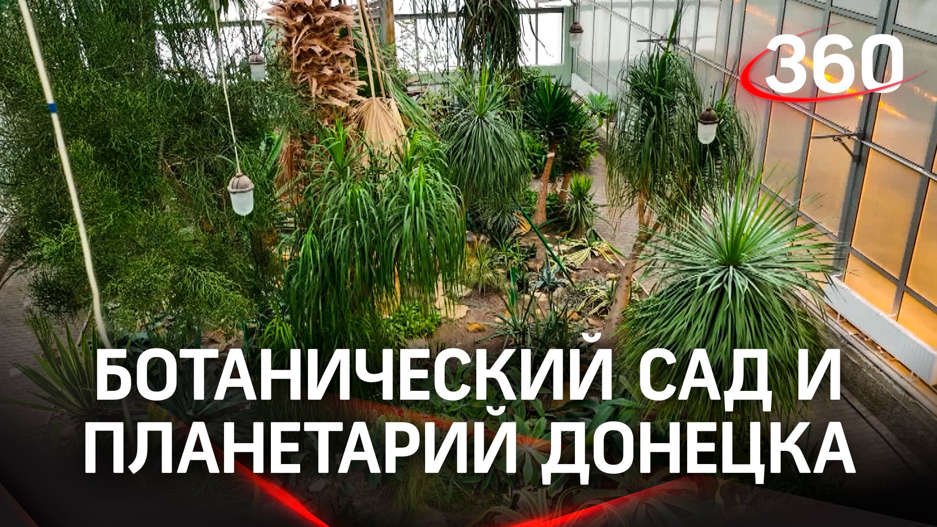 Как работают ботанический сад, планетарий и библиотека Донецка | Ольга Мациевская