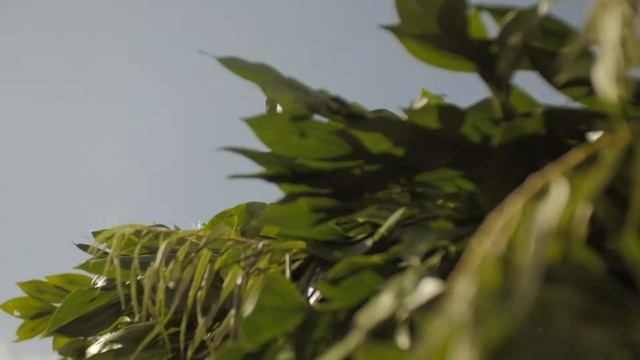 Лучшая свадьба по версии подружек невесты смотреть онлайн