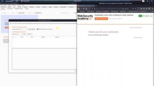 Exploiting cross-site scripting to steal cookies (Video solution, Audio)