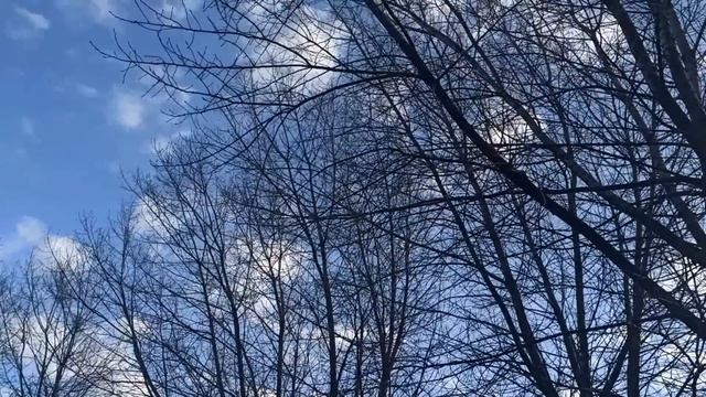 21 марта народный праздник Весенний Солнцеворот. День равен ночи. Народные приметы и традиции.