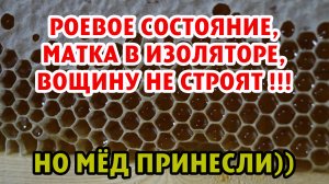 ПЧЕЛЫ В РОЕВОМ СОСТОЯНИИ НОСЯТ МЁД!!!