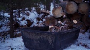 НЕЗВАНЫЕ ГОСТИ УСТРОИЛИ ПОГРОМ В ИЗБЕ | НОВЫЙ ГОД В ЛЕСУ | ДЕЛАЕМ ЗАПАСЫ ДРОВ