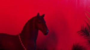 Проект 2022 Сериал "Алая ночь" / 1 серия