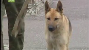 Бунт заключенных в Красноярске