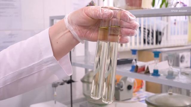 Может ли рапсовое масло заменить подсолнечное смотреть онлайн