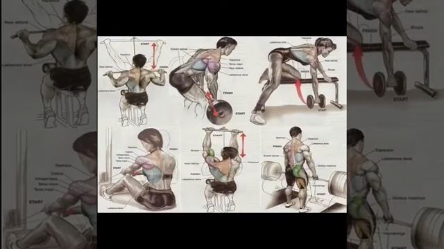 Зарядка на все группы мышц смотреть онлайн