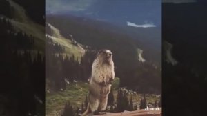 аааааааааа.mp4