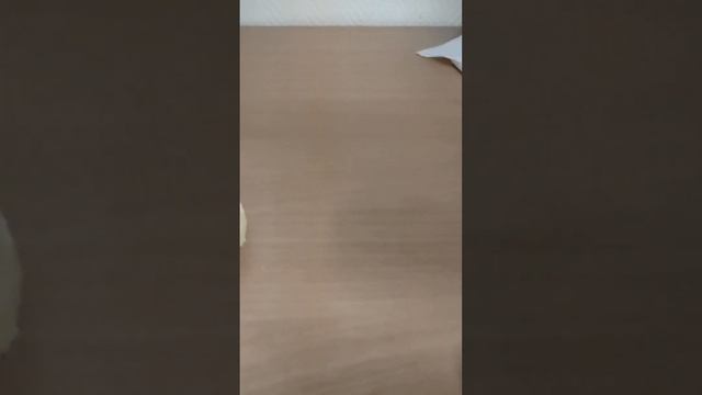 Икра структурированная (СЛОВ НЕТ, КАКОЙ ГОВНО) смотреть онлайн