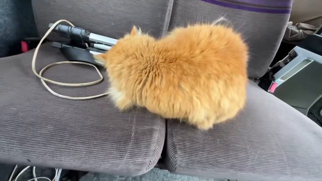 Дом на колёсах - спустя месяц! смотреть онлайн