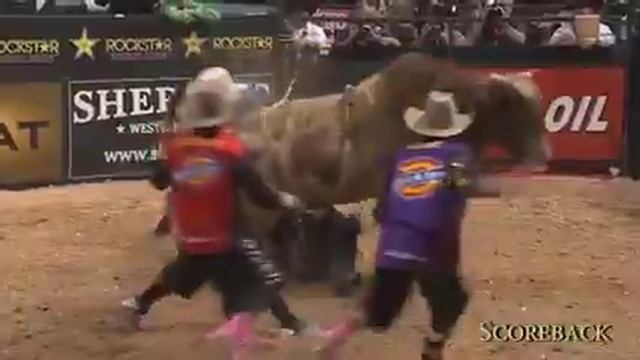 Бешеные быки смотреть онлайн