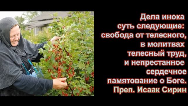 Что можно, а что нельзя жертвовать на монастырь и почему. (Рассказ из Отечника) смотреть онлайн