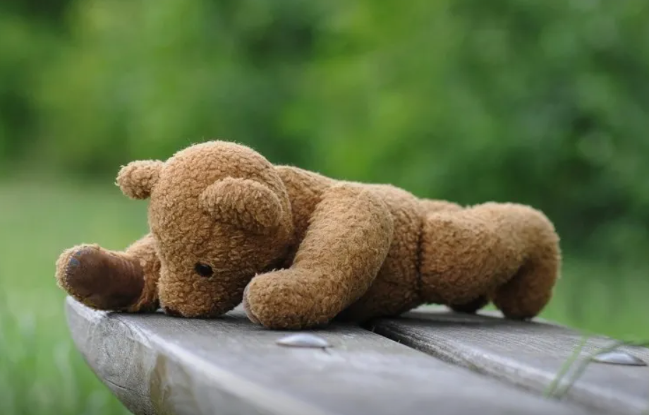 Полиция разыскивает украденного девушкой плюшевого медведя в Белграде