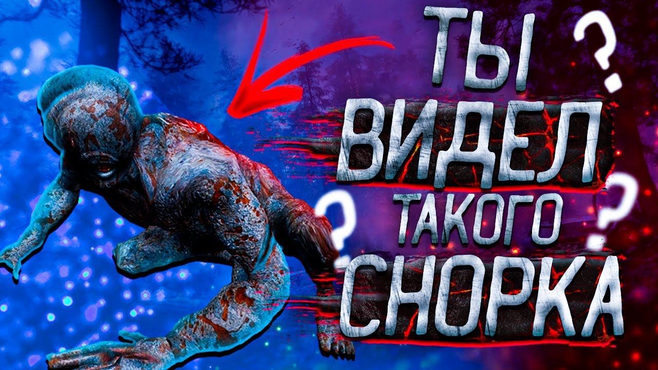 18 видов СНОРКОВ из модов STALKER