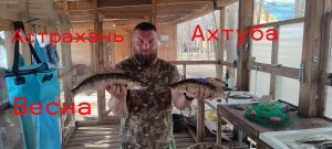 Рыбалка в Астрахани. Ловля на Ахтубе Судака Весной. Открыл Сезон.  Часть 2