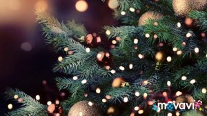 Ёлочка, ёлочка заблести огнями!