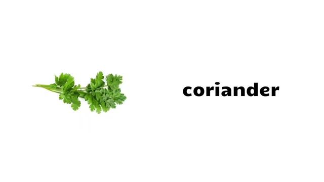 NUTS, HERBS, SPICES and SEEDS - English Vocabulary