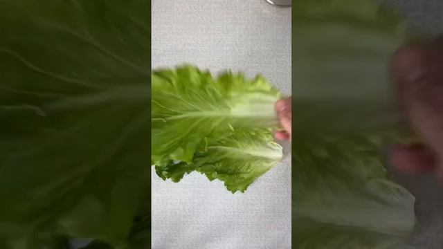 Простой сэндвич с салатом