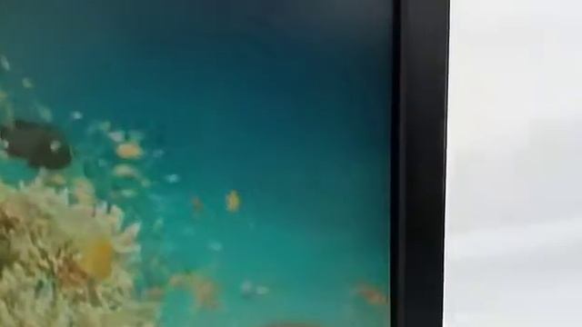 TESTE DE FUNCIONAMENTO MONITOR DELL 1907FPC 00092 смотреть онлайн