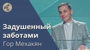 Задушенный заботами  / Гор Мехакян / 20.07.2024