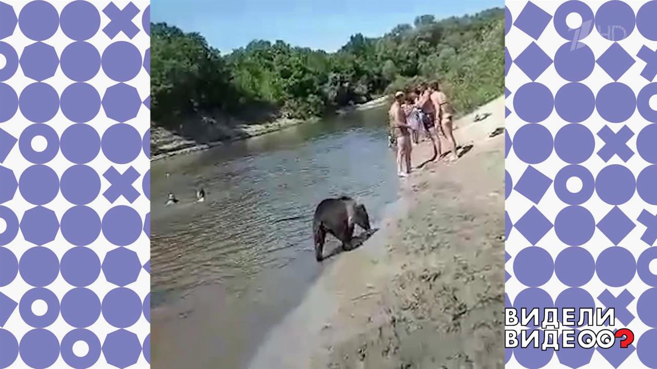 Увиденное на пляже видео. Урюпинск пляж. Видели видео.