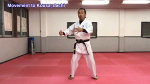 【Naihanchi Analysis 1】Is this move Uke or Uchi?!