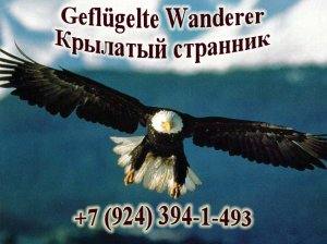 Паралет. Перед посадкой