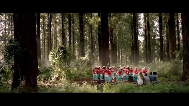 The Best of Southern Africa Tours смотреть онлайн