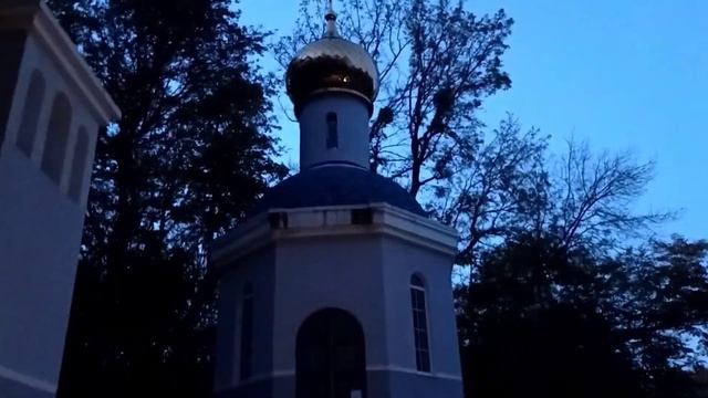 переезд на юг. 2021.где все грибы? смотреть онлайн