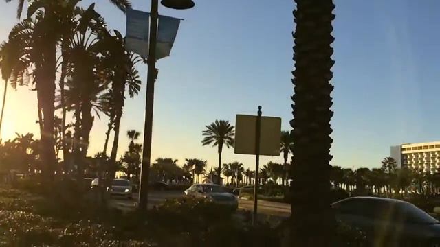 Закат и Большая Черепаха в Америке смотреть онлайн