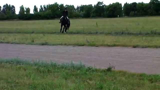 Чемпионат молодых наездников 30.06.2019 года Хреновская школа наездников Часть 2