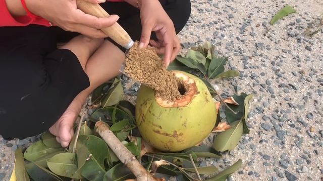 Now, the technique of Java plum tree in coconut and balsam of crocodile tail grows 100% well. смотреть онлайн