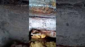 Как и чем лучше защитить нижний венец дома,бани,дедовский секрет.