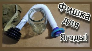 Как быстро собирать ягоду! Классный способ!??