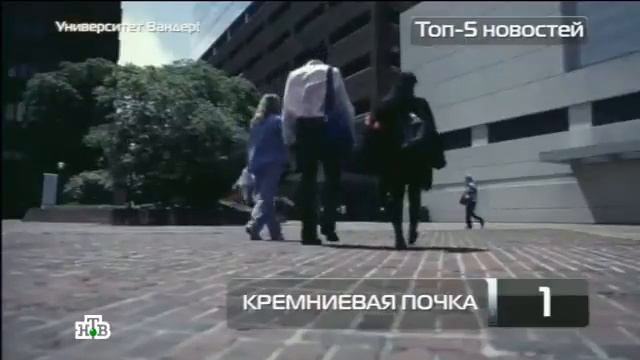 Кремневая почка