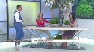 Карликовые ели: посадка и уход