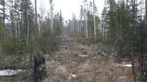 Вспомогательные способы ориентирования. Часть 14