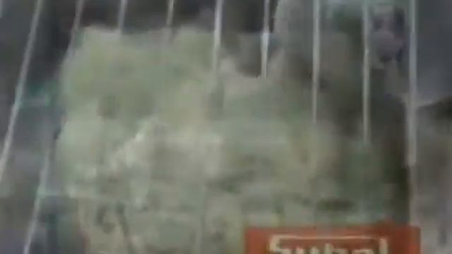 Тестомес Subal ABV с вертикальными рычагами смотреть онлайн