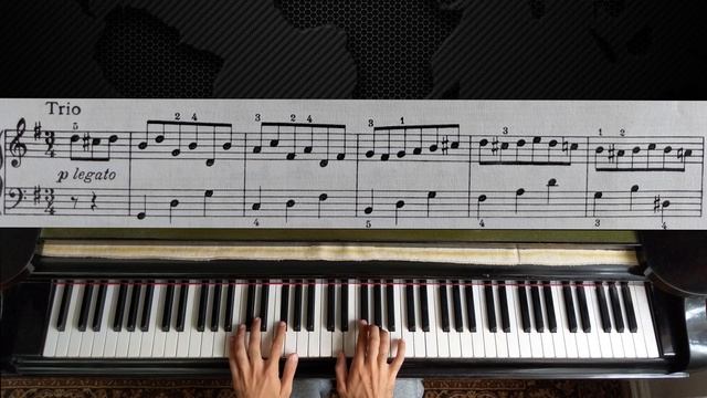 Beethoven - Minuet in G | Piano with Sheet Music смотреть онлайн