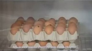 Голодающая Якутия   5