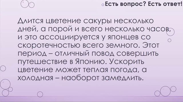 Где цветёт сакура? (128) смотреть онлайн