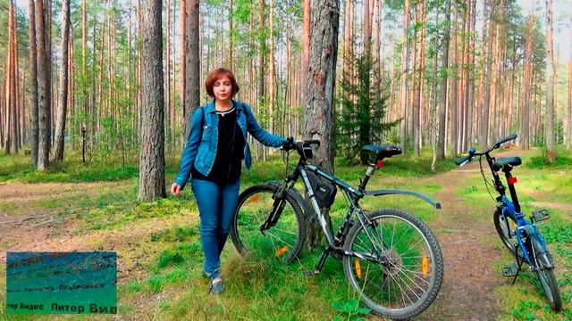 Щучье озеро в Комарово