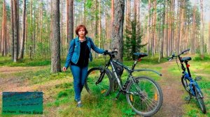 Щучье озеро в Комарово