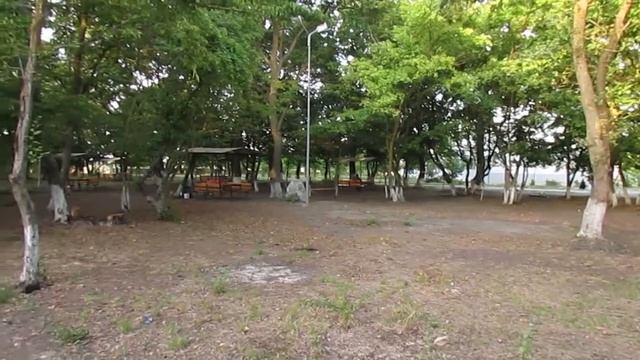 Canon sx500IS video test (HD) смотреть онлайн