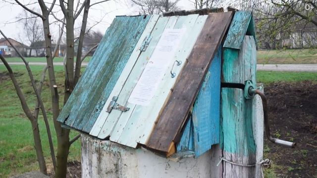 Белгородская сосна — самая дорогая сосна в мире смотреть онлайн