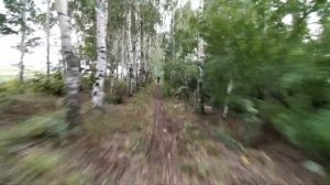 Моноколесо на тропе EUC 25.08.20(4)